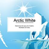 Little Trees Arctic White Ferahlığı Aromalı Oto Kokusu 24 Adet