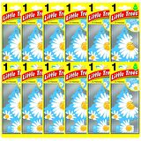 Little Trees Daisy Chain Papatya Aromalı Oto Kokusu 12 Adet