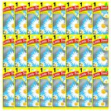 Little Trees Daisy Chain Papatya Aromalı Oto Kokusu 24 Adet