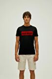 Bad Bear O Yaka Baskılı Siyah Erkek T-Shirt 22.01.07.013_FLOG T-SHIRT