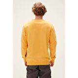 COUNTER CREWNECK MUSTARD