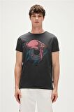 Bad Bear Baskılı Antrasit Erkek T-Shirt 23.01.07.021_PIRATE T-SHIRT