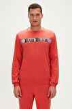Reflect Bear Crewneck Ginger Tarçın Erkek Sweatshirt