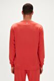 Reflect Bear Crewneck Ginger Tarçın Erkek Sweatshirt