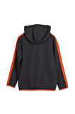 Bad Bear Sweatshirt Darrel Tam Fermuarlı JR 24.06.12.003 Antrasit