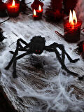 HALLOWEEN DEKORATİF ÖRÜMCEK 75CM AST7039