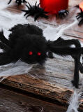 HALLOWEEN DEKORATİF ÖRÜMCEK 75CM AST7039