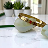 Altın Kaplama Vidalı Çelik Kelepçe Bileklik – Takvanov Unisex, 316L Paslanmaz Çelik, Şık Tasarım