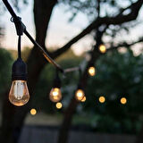 CATA Eklenebilir Sarmaşık Dış Mekan 10 MT E27