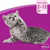 Whiskas Yavru Tavuklu Kuru Mama 300 G 7X
