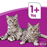 Whiskas Ton Balıklı Kuru Mama 300 G 7X