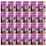 WHİSKAS  YAVRU TAVUKLU 85 GR 24X