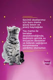 Balık Çeşitli Kedi Maması 4'lü 340 gr 12x
