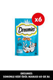 Dreamies Somonlu Kedi Maması 60 gr 6x