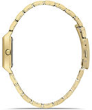 Quark QL-X007G-3B