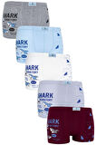 Erkek Çocuk Boxer 5 li Paket Karışık Renk Baskılı Boxer