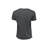 Biggdesign Nature Ormanın Kralı Erkek T-shirt Gri-XL