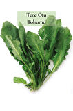 Tere Tohumu 1 Paket (10gr=5000+ Adet) Tere Otu Tohumu Geniş Yapraklı Tere