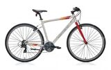 Carraro Sportive 321 28 Jant 21 Vites Şehir Bisikleti Gri - Kırmızı