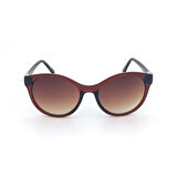 Swing Kahve Şeffaf Desenli Kadın Güneş Gözlüğü