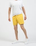 Erkek Renkli Swim Şort