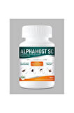 Alphamost Sc50 50ml Hamamböceği Ve Tüm Haşereler Için Kokusuz Ilaç