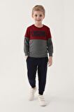 US1335 - Gri Melanj - U.S. Polo Assn. Erkek Çocuk Bermuda Takım