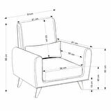 Sare Berjer Antrasit