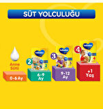 Bebelac 2 Devam Sütü 800 gr