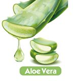 Baby Turco Softcare Aloea Vera Islak Havlu Mendil 90x3 270 Yaprak