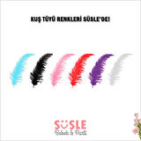 Şeffaf Balon İçi Kuş Tüyü, 100 Adet - Mor