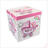 Kapaklı, Katlanır Demonte Karton Kutu, 30cm - Puset & Pembe