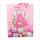 Karton Çanta, Etek Model Pembe 23 x 18 x 10 cm - 12 Adet