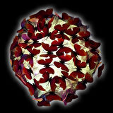 Led Işıklı Kelebek Buketi - 45cm x 30cm