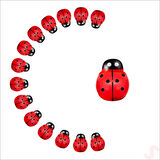 Uğur Böceği Ahşap Sticker, 1,5cm x 1,2cm  x 15 Adet - Kırmızı