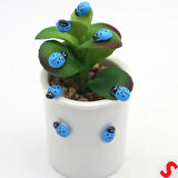 Uğur Böceği Ahşap Sticker, 1,5cm x 1,2cm  x 15 Adet - Mavi