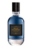 Avon Full Speed ve Wild Country Freedom Erkek Parfüm Paketi