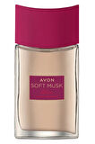 Avon Soft Musk Delice Velvet Berries Kadın Parfüm ve Rollon Paketi