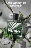 Avon Musk Metropolitano Erkek Parfüm Edt 75 Ml. Üçlü Set