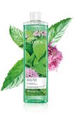 Senses Water Mint Nane ve Salatalık Kokulu Duş Jeli 500 Ml. İkili Set