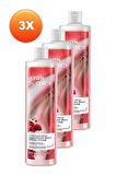 Senses Hindistan Cevisi Sütü ve Böğürtlen Kokulu Duş Kremi 500 Ml. Üçlü Set