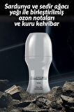 Full Speed Quantum Erkek Parfüm ve Saç Vücut Şampuanı Paketi