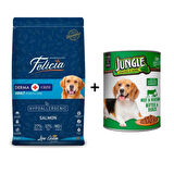 Felicia Somonlu Yetişkin Köpek Maması 3 kg + 1 Adet Yaş Mama