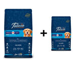 Felicia Somonlu Yetişkin Köpek Maması 15 kg + 1 Adet Felicia Somonlu Yetişkin Köpek Maması 3 kg