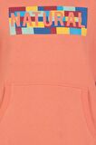 Arma Erkek Kapüşonlu Sweatshirt 
