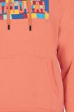 Arma Erkek Kapüşonlu Sweatshirt 