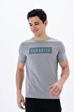 Arma Erkek Slim Fit Bisiklet Yaka Tişört 
