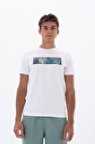 Arma Erkek Slim Fit Bisiklet Yaka Tişört 