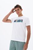 Arma Erkek Slim Fit Bisiklet Yaka Tişört 