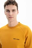 Arma Erkek Regular Fit Bisiklet Yaka Sweatshirt 